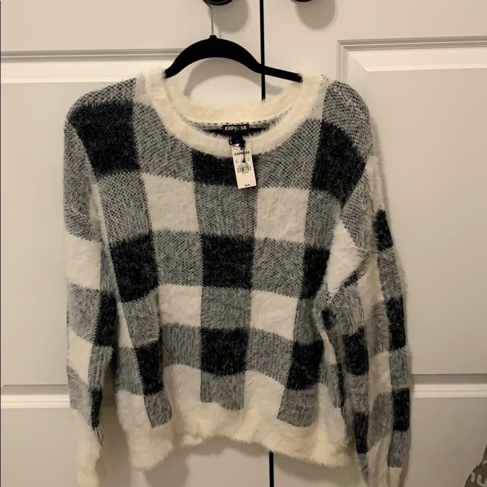 Express fuzzy sweater